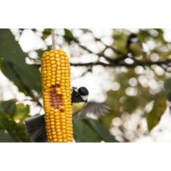 ESSCHERT DESIGN Gedroogde Maiskolven - Set Van 2 Stuks -Tuinadvies Winkel 1561972434 2 600