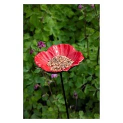 Voederschaal Klaproos Met Prikker 11 Voederschaal Klaproos Met Prikker -Tuinadvies Winkel 1642067810 2 600