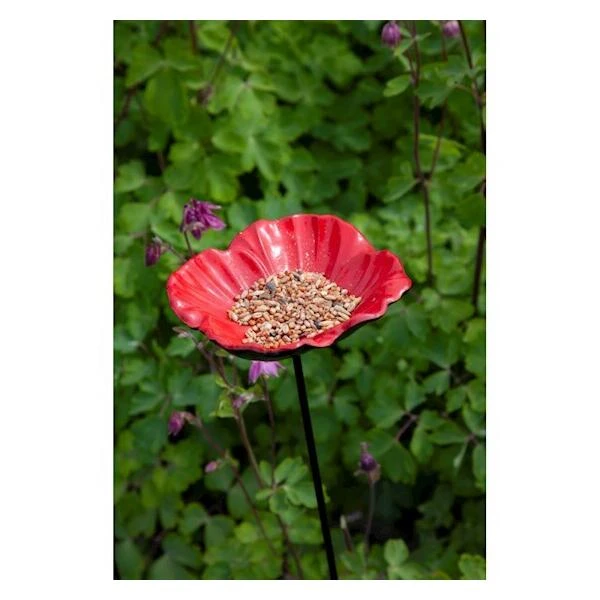 Voederschaal Klaproos Met Prikker 6 Voederschaal Klaproos Met Prikker - Afbeelding 4