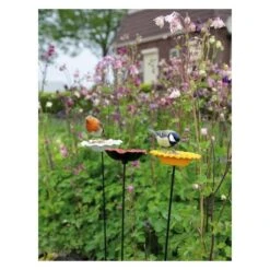 Voederschaal Klaproos Met Prikker 12 Voederschaal Klaproos Met Prikker -Tuinadvies Winkel 1642067810 3 600