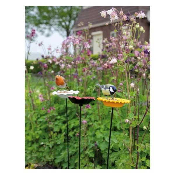 Voederschaal Klaproos Met Prikker 7 Voederschaal Klaproos Met Prikker - Afbeelding 5