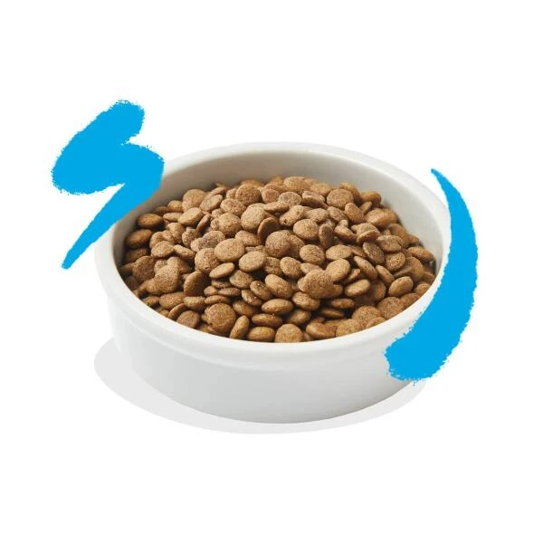 Edgard & Cooper Kattenvoer Adult Met Verse Zalm - 4 Kg 5 Edgard & Cooper Kattenvoer Adult Met Verse Zalm - 4 Kg - Afbeelding 3