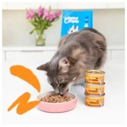 Edgard & Cooper Multipack Stukjes In Saus Voor Volwassen Katten - 8 × 85 G 7 Edgard & Cooper Multipack Stukjes In Saus Voor Volwassen Katten - 8 × 85 G -Tuinadvies Winkel 1677141741 2 600