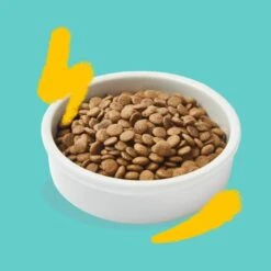 Edgard & Cooper Kattenvoer Adult Met Verse Scharrelkalkoen En Kip - 2 Kg 9 Edgard & Cooper Kattenvoer Adult Met Verse Scharrelkalkoen En Kip - 2 Kg -Tuinadvies Winkel 1677151805 3 600