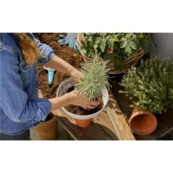 Gardena ClickUp! Plantenschaal - Ø 25 Cm -Tuinadvies Winkel 1683615192 3 600