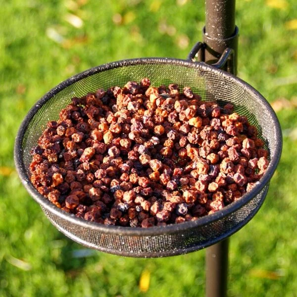 Bessenmix 300 Gram 4 Bessenmix 300 Gram - Afbeelding 2