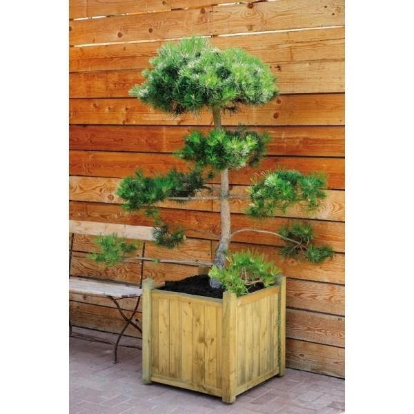 Bloembak Ficus In Hout - 138 L 4 Bloembak Ficus In Hout - 138 L - Afbeelding 2
