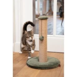 Krabpaal Yenna 35 × 35 × 60 Cm Groen - Designed By Lotte -Tuinadvies Winkel designed by lotte yenna krabpaal groen 35x35x60 cm 1601016254 25 600