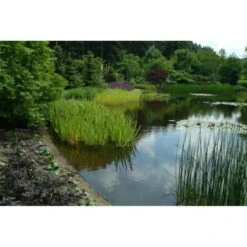 Ecoo Tuin- Of Vijverafboording Ecolat 14 Cm - 10 M Grijs -Tuinadvies Winkel ecolat 10 m 1484063064 4 600