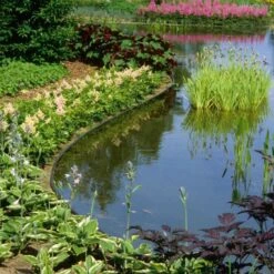 Ecoo Tuin- Of Vijverafboording Ecolat 14 Cm × 25 M - Grijs -Tuinadvies Winkel ecolat tuinafboording 25m x 14 cm 1627911849 1 600