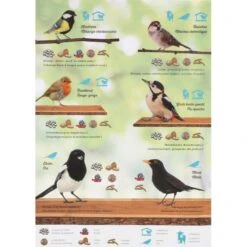 Emma's Garden Vogelvoeder Start Pack 13 Emma's Garden Vogelvoeder Start Pack -Tuinadvies Winkel emmas garden start pack 1636369560 4 600