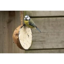 Emma's Garden Vogelvoeder Start Pack 10 Emma's Garden Vogelvoeder Start Pack -Tuinadvies Winkel emmas garden start pack vogelvoer 1638884419 1 600