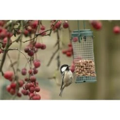 Emma's Garden Vogelvoeder Start Pack 12 Emma's Garden Vogelvoeder Start Pack -Tuinadvies Winkel emmas garden start pack vogelvoer 1638886127 1 600