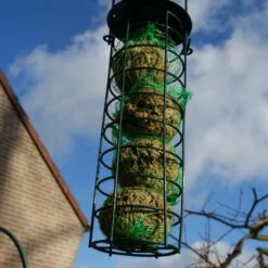Emmer Met Mezenbollen - Set Van 35 Stuks 7 Emmer Met Mezenbollen - Set Van 35 Stuks -Tuinadvies Winkel emmer met mezenbollen 1515415996 1 600