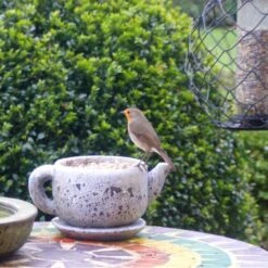 Gepelde Zonnebloempitten - 2 Kg -Tuinadvies Winkel gepelde zonnebloempitten 2 kg 1577449956 1 600