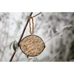 Halve Kokosnoot Met Pindanoten -Tuinadvies Winkel halve kokosnoot met pindanoten 1646840376 1409 600