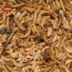 Insectenmix 175 Gram -Tuinadvies Winkel insectenmix 175 gram 1484062500 1 600