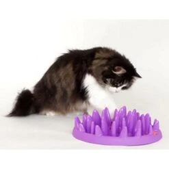 Interactieve Voederbak Kat -Tuinadvies Winkel interactieve voederbak kat 1570091806 1 600