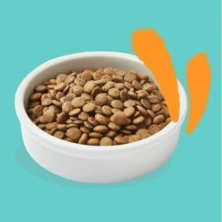 Edgard & Cooper Kattenvoer Adult Met Verse Scharrelkip - 4 Kg -Tuinadvies Winkel kattenvoer adult verse kip 4 kg 1676991071 4 600