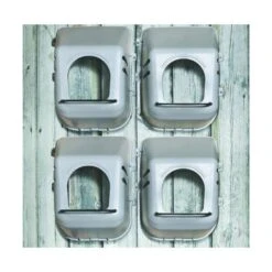 Kippen Legbak Wandmodel -Tuinadvies Winkel kippen legbak muurmodel 1525099272 3 600