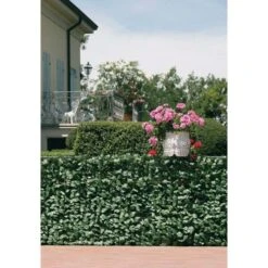 Klimopscherm Kunststof 3 × 1,5 M 8 Klimopscherm Kunststof 3 × 1,5 M -Tuinadvies Winkel klimopscherm 3 x 15 m 1520163661 2 600