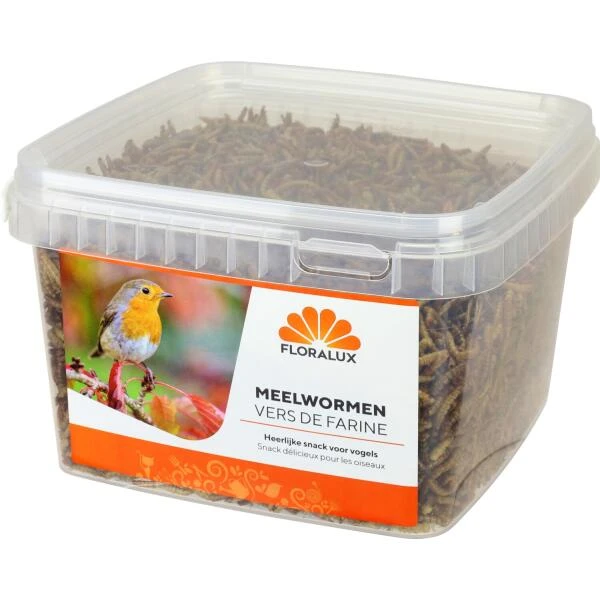 Meelwormen Voor Tuinvogels 450 G 3 Meelwormen Voor Tuinvogels 450 G