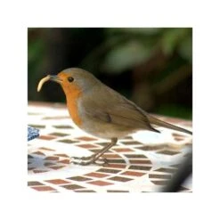 Gedroogde Meelwormen - 100 Gram 10 Gedroogde Meelwormen - 100 Gram -Tuinadvies Winkel meelwormen gevriesdroogd 100g 1484053488 3 600