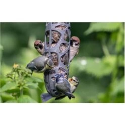 Mezenbolhouder Gerecycleerd Kunststof Voor 3 Mezenbollen 11 Mezenbolhouder Gerecycleerd Kunststof Voor 3 Mezenbollen -Tuinadvies Winkel mezenbolhouder hello sam 1576924932 3 600