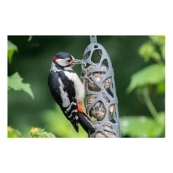 Mezenbolhouder Gerecycleerd Kunststof Voor 3 Mezenbollen 13 Mezenbolhouder Gerecycleerd Kunststof Voor 3 Mezenbollen -Tuinadvies Winkel mezenbolhouder hello sam 1576924932 5 600