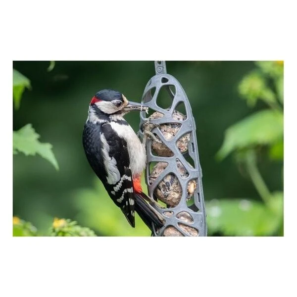 Mezenbolhouder Gerecycleerd Kunststof Voor 3 Mezenbollen 8 Mezenbolhouder Gerecycleerd Kunststof Voor 3 Mezenbollen - Afbeelding 6