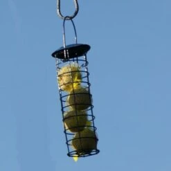 Mezenbollen Premium - Set Van 15 Stuks -Tuinadvies Winkel mezenbollen premium 1512142081 1 600