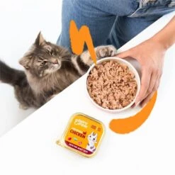 Edgard & Cooper Multipack Paté Voor Volwassen Katten - 8 × 85 G 8 Edgard & Cooper Multipack Paté Voor Volwassen Katten - 8 × 85 G -Tuinadvies Winkel natvoer adult cat 8 x 85 g 1676983458 1 600