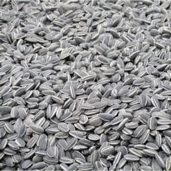 Ongepelde Zonnebloempitten 700 G -Tuinadvies Winkel ongepelde zonnebloempitten 700 g 1514456938 1 600