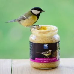 Pindakaas Met Meelwormen 330 G