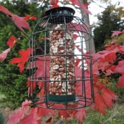 Pindavoedersilo Kleine Vogels - Groen -Tuinadvies Winkel pindavoedersilo kleine vogels 1484052978 4 600