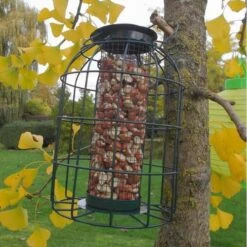 Pindavoedersilo Kleine Vogels - Groen -Tuinadvies Winkel pindavoedersilo kleine vogels 1484052978 5 600