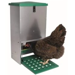 Trapbak Voor Kippen - 20 Kg