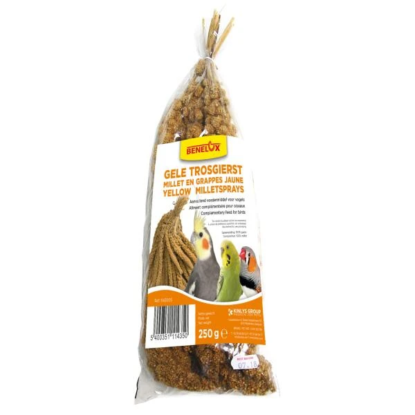 Trosgierst Voor Vogels - 250 Gram 4 Trosgierst Voor Vogels - 250 Gram - Afbeelding 2