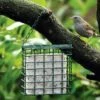 Vetblokhouder Vogels 1 Vetblokhouder Vogels -Tuinadvies Winkel vetblokhouder 1484055287 1 600