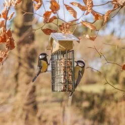 ESSCHERT DESIGN Vetblokhouder Met Zinken Dak -Tuinadvies Winkel vetblokhouder met zinken dak 1548681335 2 600