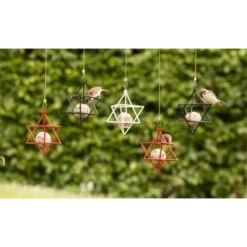 Vetbolhouder Ster - Rood 7 Vetbolhouder Ster - Rood -Tuinadvies Winkel vetbolhouder ster rood 1484057133 2 600