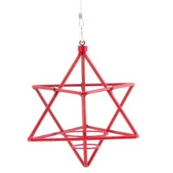 Vetbolhouder Ster - Rood 6 Vetbolhouder Ster - Rood -Tuinadvies Winkel vetbolhouder ster rood 1516893730 1 600