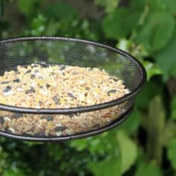 Voederschaal Voor Voederstation -Tuinadvies Winkel voederschaal voederstation 1512590749 1 600