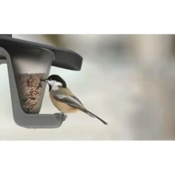 Voedersilo Duofood - Kunststof -Tuinadvies Winkel voedersilo duofood kunststof 1565767973 4 600