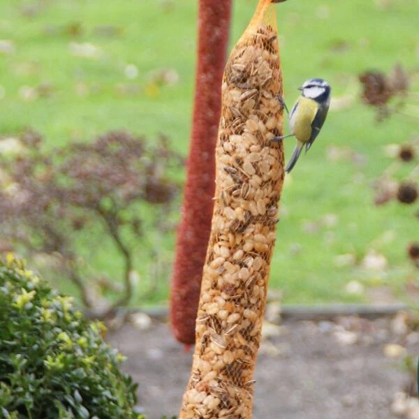 Voederslinger Mix Met Rozijnen - 750 G 4 Voederslinger Mix Met Rozijnen - 750 G - Afbeelding 2