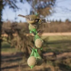 ESSCHERT DESIGN Vogelvoederhaak Met Donkergroen Dakje -Tuinadvies Winkel vogelvoederhaak groen 1538483689 2 600