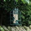 Zadenvoedersilo Kleine Vogels -Tuinadvies Winkel zadenvoedersilo kleine vogels 1628680863 2 600
