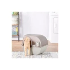 Zelfreinigende Kattenbak Roll'n Clean - Large -Tuinadvies Winkel zelfreinigende kattenbak large 1663677520 1 600