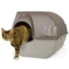 Zelfreinigende Kattenbak Roll'n Clean - Medium -Tuinadvies Winkel zelfreinigende kattenbak medium 1484054645 1 600