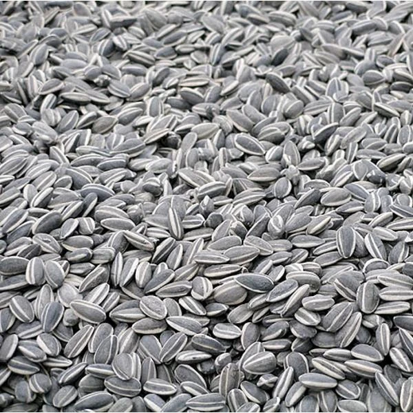 Zonnebloempitten Zwart - Ongepeld 15 Kg 3 Zonnebloempitten Zwart - Ongepeld 15 Kg